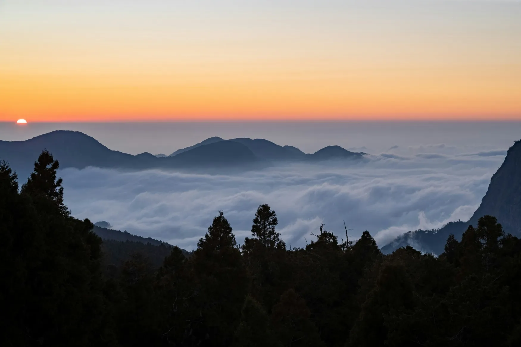 Alishan National Park